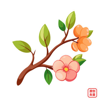 矢量插圖植物鮮花桃花
