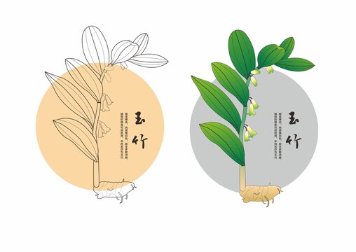 手繪玉竹