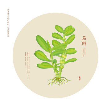 石斛
