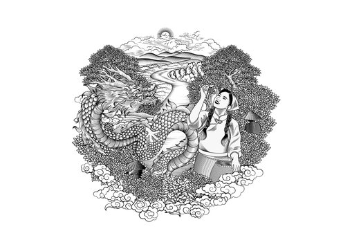 茶葉包裝插畫