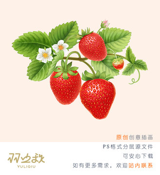 手繪草莓果實(shí)