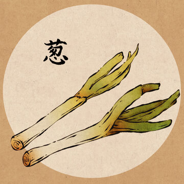 國風(fēng)水墨調(diào)料食材蔥