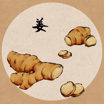 國風水墨調料食材姜