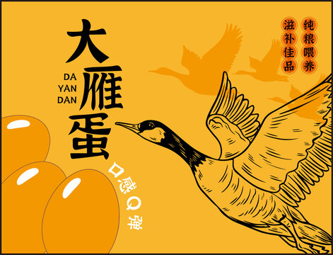 大雁蛋包裝插畫