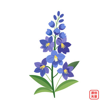 矢量插圖植物美麗落葉松花