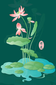 荷花矢量插畫