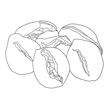 紫薯