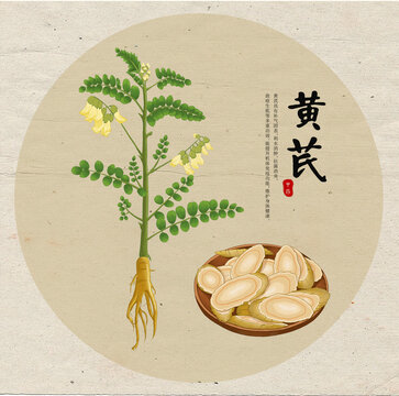 黃芪