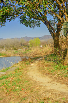 鄉(xiāng)村泥土小路