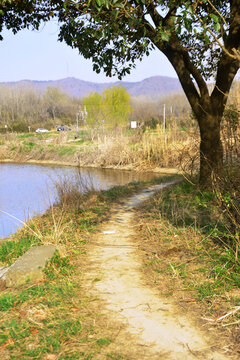 鄉(xiāng)村小路