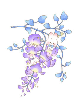 紫藤花兔