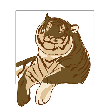 老虎插畫圖案