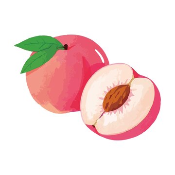 桃子