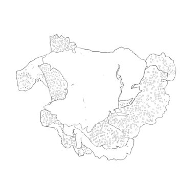 石耳
