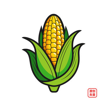 矢量插圖農(nóng)作物成熟玉米