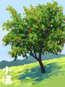 小滿