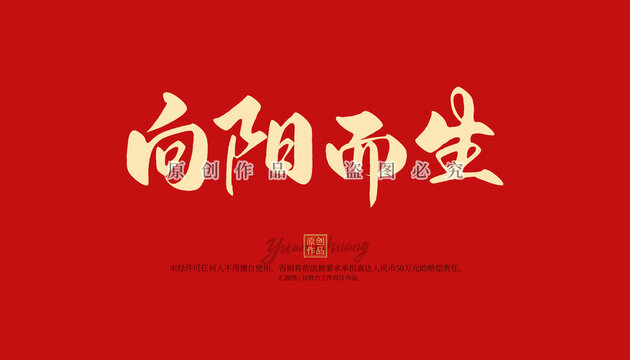 向陽而生