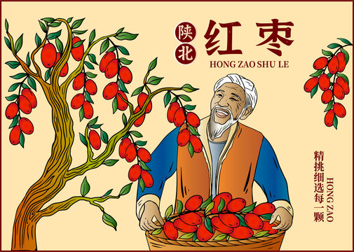 紅棗包裝插畫