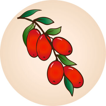 紅棗