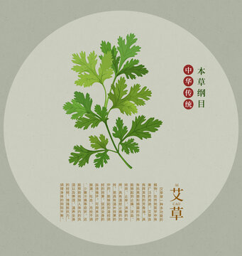 艾草手繪插畫