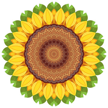 圓形太陽(yáng)花