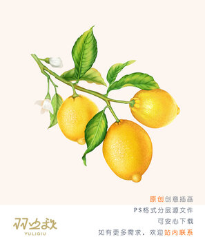 手繪檸檬