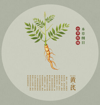 黃芪