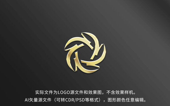 五龍LOGO標(biāo)志設(shè)計