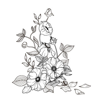 花簇線稿