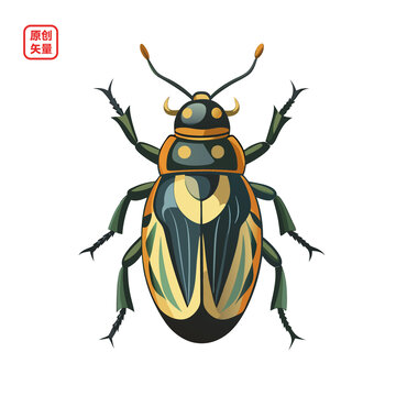 矢量插圖動物昆蟲一只甲蟲
