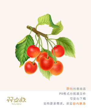 手繪櫻桃