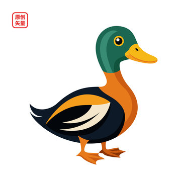 矢量插圖動(dòng)物簡(jiǎn)約可愛(ài)小鴨子