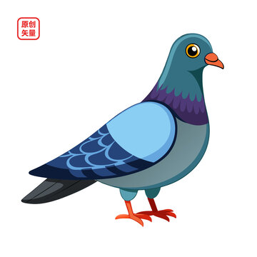 矢量插圖動物鳥一只鴿子2