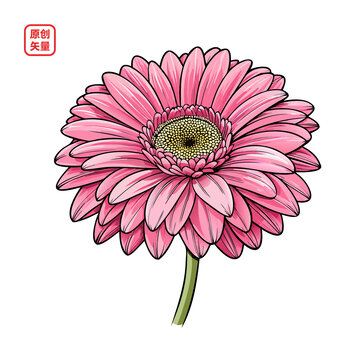 矢量插圖花朵一枝美麗的菊花