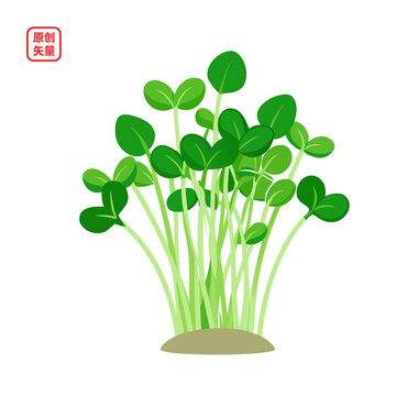 矢量插圖新鮮蔬菜豆芽苗