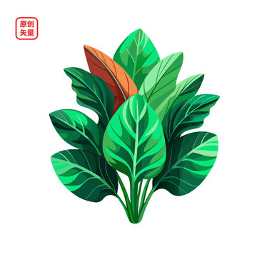 矢量插圖植物綠色大葉綠植