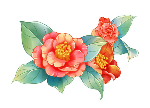 紅色山茶花插畫素材