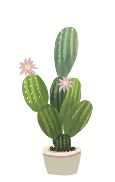 花盆