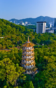 深圳西麗塔
