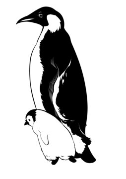企鵝
