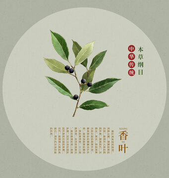 香葉手繪中草藥插畫包裝