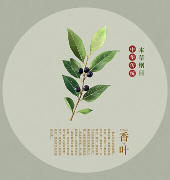 香葉手繪中草藥插畫包裝