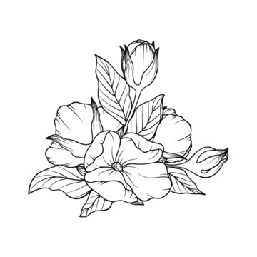 花叢花卉植物