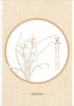 蘭花線稿
