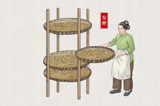 傳統(tǒng)醬油釀造黃豆發(fā)酵