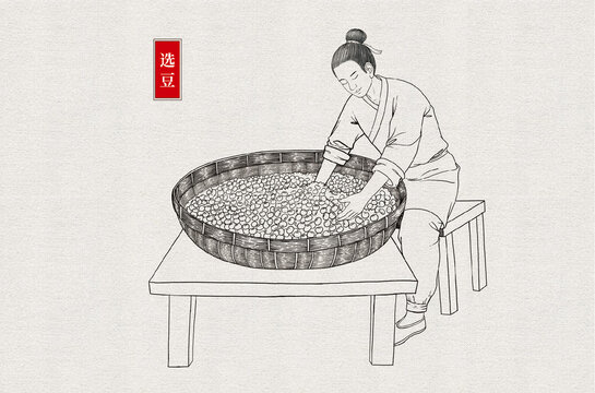 傳統(tǒng)醬油釀造選豆線稿