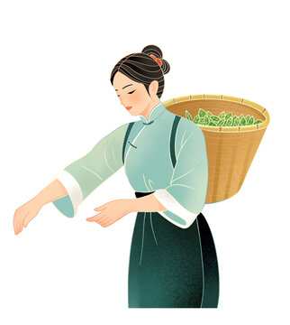 采茶女插畫