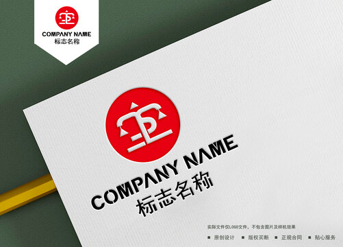 TS字母logo