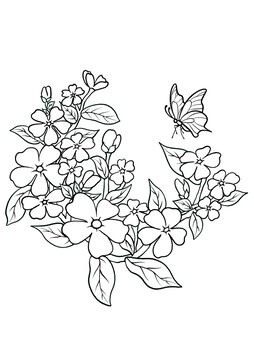長春花線稿