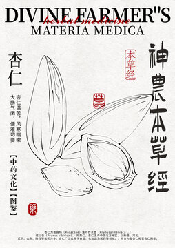 杏仁線稿手繪中藥材水彩插畫設(shè)計(jì)模版